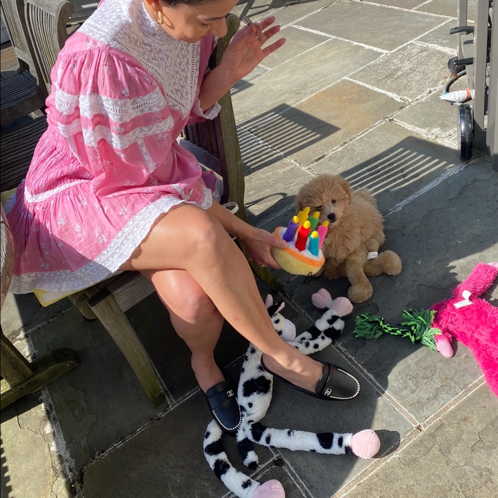 Viola mini dress on a vintage print. Puppy not included.
